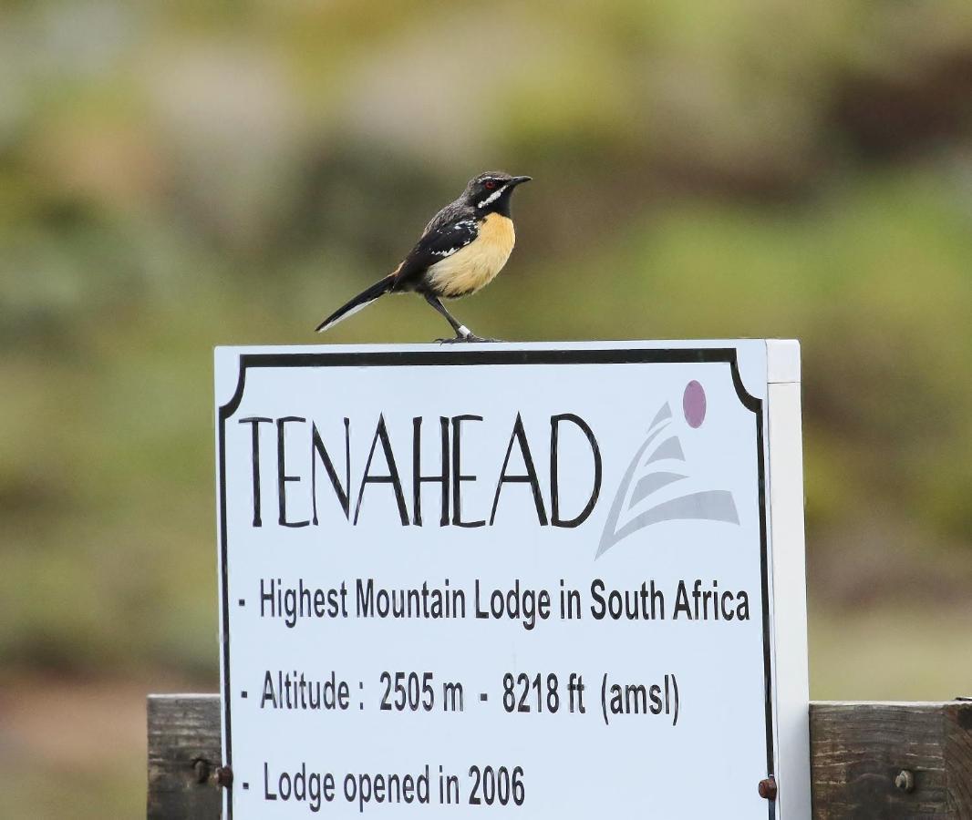 Tenahead Lodge & Spa Rhodes Exterior foto